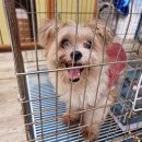 안송로 60 이미지