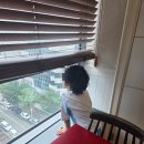 갤러리아호텔 | 대전 교육청과 갤러리아 근처 가성비 호텔 '굿모닝레지던스호텔휴' 조식후기