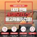 🚗 가성비 좋은 중고차 – 도야모터스에서 알려드립니다!