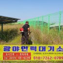 삼호 태양광발전소 이미지