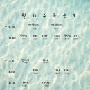 새벽요가(화,목) 이미지