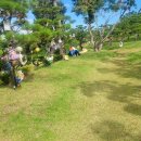 신기수목장 이미지