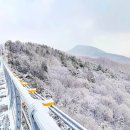 사주로 보는 나의 성격심리 이미지