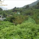 회성동103 이미지