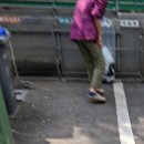 양지마을 1길 네이버블로그