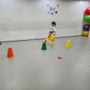 삼성체육도장 이미지