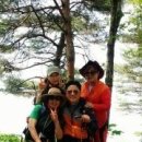 어울림여행사