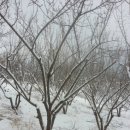 민기농장 이미지