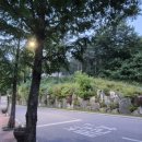 향로산 자연휴양림 수영장 이미지