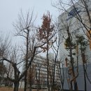 인주면 현대로1029번길 | 아산도어락 인주면 현대자동차사원 아파트 H2000 깔끔한 번호키 도어락 추천