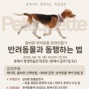 동해시-12 이미지