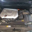 SHARK MOTOR OIL 이미지