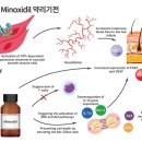 햇님약국 이미지