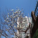 덕포체육공원 이미지