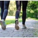 다이어트 건강요가 이미지