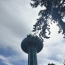 학림농장 | [완도 여행] 6월 전남여행 - 장보고동상 / 완도타워 / 장보고빵 / 학림회센타