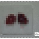 미드미동물의료센터 이미지