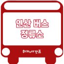 연산사거리 벌곡 방면 | 연산면 시내버스 정류소 시간표