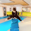 용인대 석사 스타태권도장 이미지