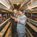 월하농장 이미지