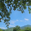 산내들가든 | 부산 근교 양산 계곡 산내들가든 내돈내산 방문후기