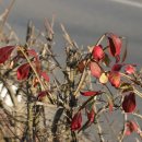 해도근린공원 이미지