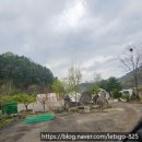 포천 글램핑 호랑이캠핑 포천한탄강점 · 한탄강 가족 글램핑 후기