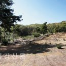 김상직 | 옛 천태 성지를 찾아서⑩ 상주 승장사지(勝長寺址)