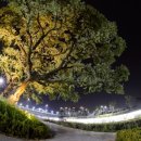 방축천7 도림2교 | 세종시 방축천의 환상적인 음악분수 가동 : 세종시 가볼만한 곳