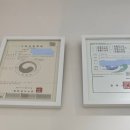 멍쌤 펫 살롱 이미지