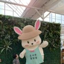 포시즌농장 이미지