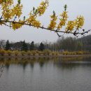 호수공원 제2주차장 이미지