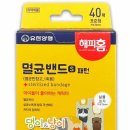 댕이냥이