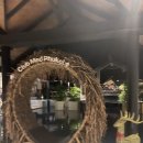 메드아이(Med-I) | 푸켓 클럽메드 3박 5일 후기 스노우클링(테스트, 절차...공연 서커스 Club Med Phuket GO 뜻 클럽메드 예약