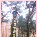 대공원입구로 이미지