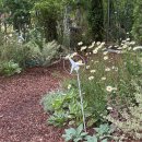그초록 🌿 [일회용 <b>초록</b>] 서울정원박람회, <b>그</b> <b>초록</b>은 진짜일까요?