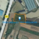 돼지부동산중개사사무소 이미지