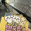 동네성인게임랜드 | (2024) 2月의 일상