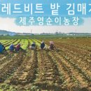 제주영순이농장