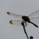 풍산공원 이미지