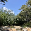 용운민박 이미지