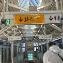 레인보우관광호텔공동탕 | 도쿄가족여행 오다이바 관광 건담베이스 도쿄 (사진위주)