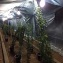 어등농장 이미지