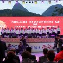 금산 태권도 체육관 | 진안 홍삼축제