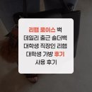 더리햅 | 리햅 로이스 백 데일리 출근 숄더백 대학생 직장인 리햅 대학생 가방 후기 사용 후기