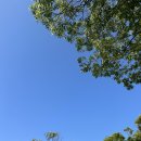 삼성공감정신건강의학과의원 이미지