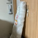 유튜버 꿈나무 | 베이스 꿈나무가 소개하는 바커스 bacchus 베이스 구매기