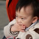 막둥이네 이미지