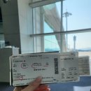 발리헬스 | 발리 입국심사 헬스패스 가루다항공 기내식 후기