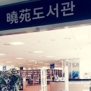 가톨릭대학교성의교정